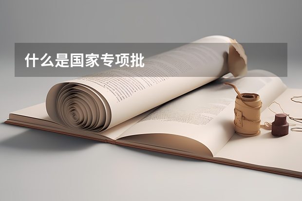 什么是国家专项批