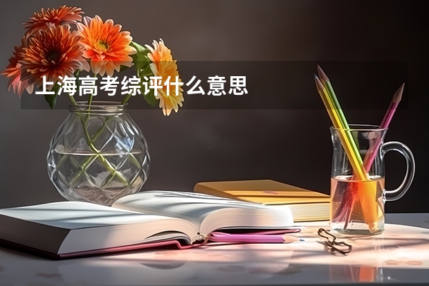 上海高考综评什么意思