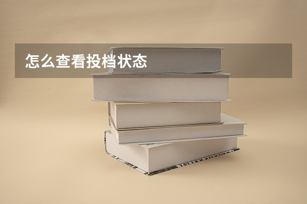 怎么查看投档状态