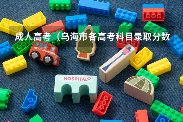 成人高考（乌海市各高考科目录取分数线）