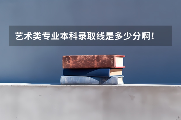 艺术类专业本科录取线是多少分啊！