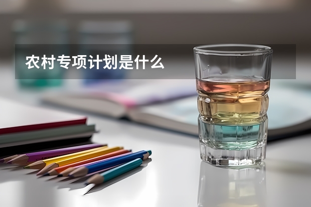 农村专项计划是什么
