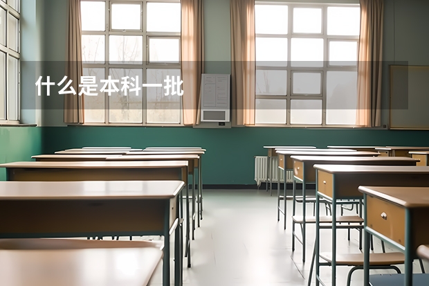 什么是本科一批