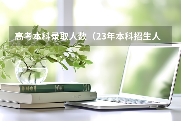 高考本科录取人数（23年本科招生人数）