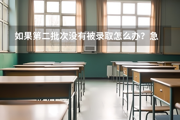 如果第二批次没有被录取怎么办？急