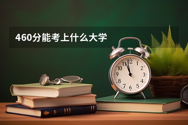 460分能考上什么大学