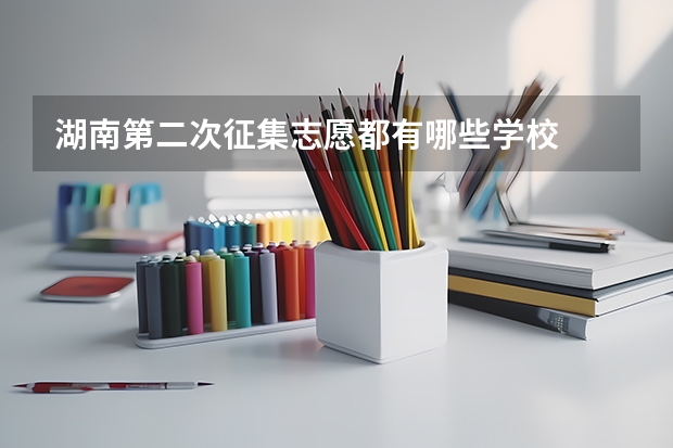 湖南第二次征集志愿都有哪些学校