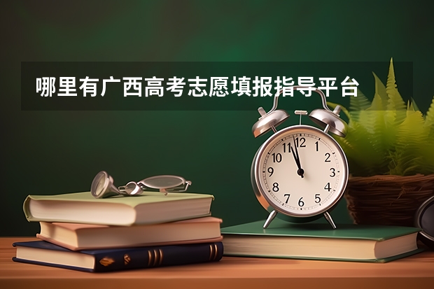 哪里有广西高考志愿填报指导平台