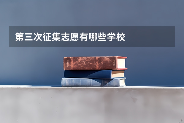 第三次征集志愿有哪些学校