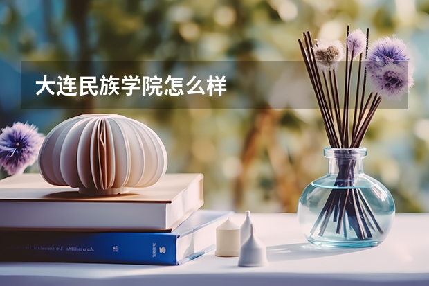 大连民族学院怎么样