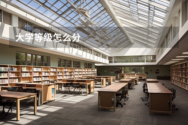 大学等级怎么分