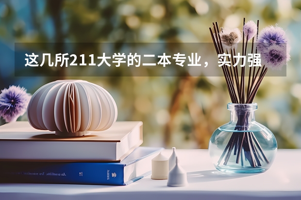 这几所211大学的二本专业，实力强适合捡漏（石河子大学招生代码）