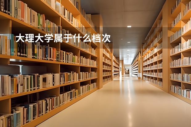 大理大学属于什么档次