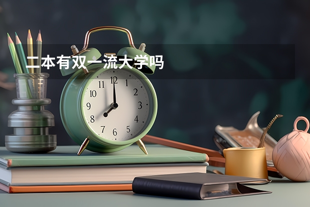 二本有双一流大学吗