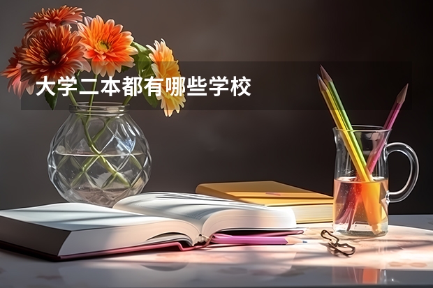 大学二本都有哪些学校