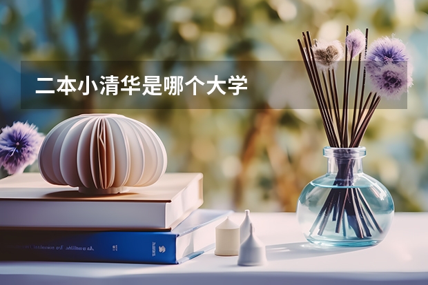 二本小清华是哪个大学