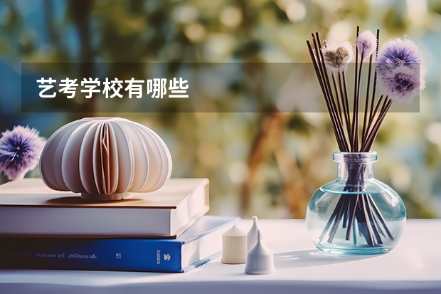 艺考学校有哪些