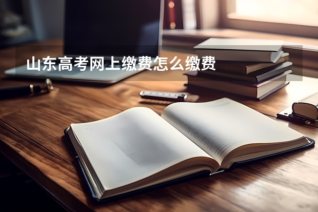 山东高考网上缴费怎么缴费