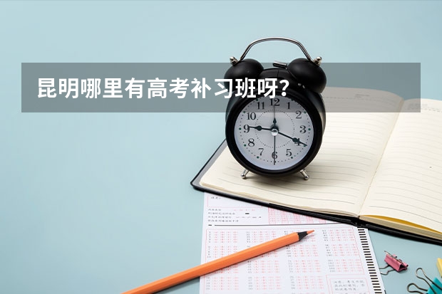 昆明哪里有高考补习班呀？