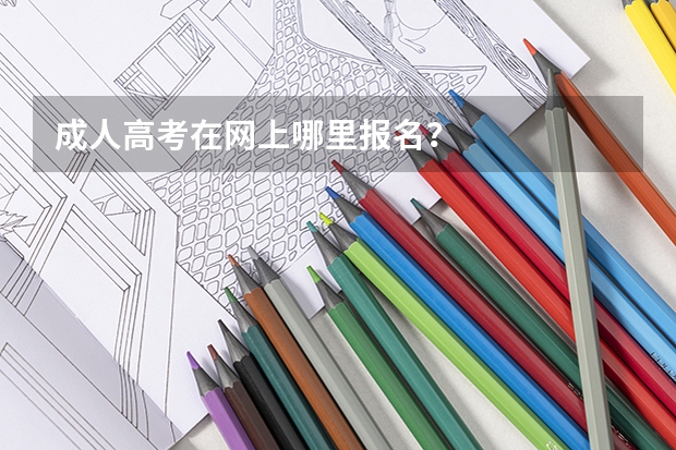 成人高考在网上哪里报名？