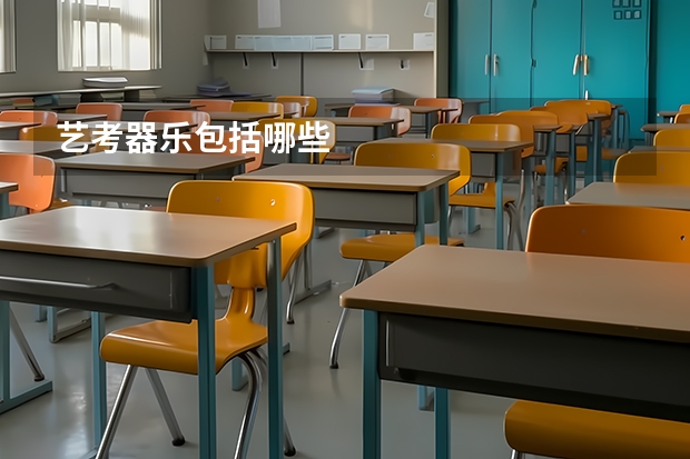 艺考器乐包括哪些