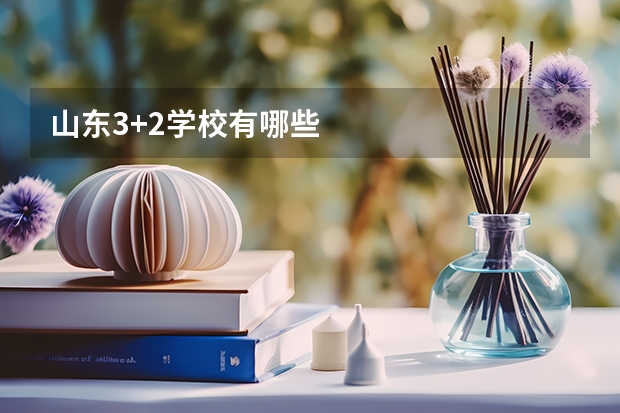 山东3+2学校有哪些