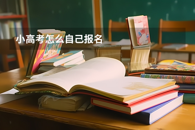 小高考怎么自己报名
