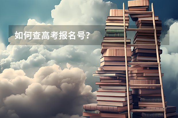如何查高考报名号？