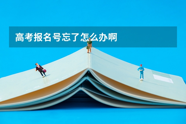 高考报名号忘了怎么办啊