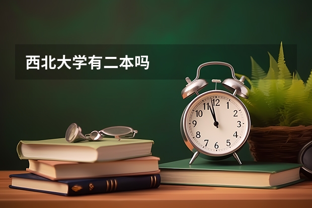 西北大学有二本吗