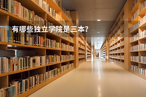 有哪些独立学院是三本？