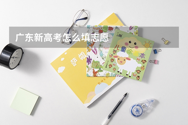 广东新高考怎么填志愿