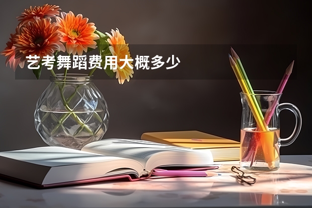 艺考舞蹈费用大概多少