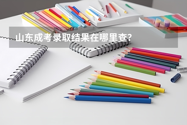 山东成考录取结果在哪里查?
