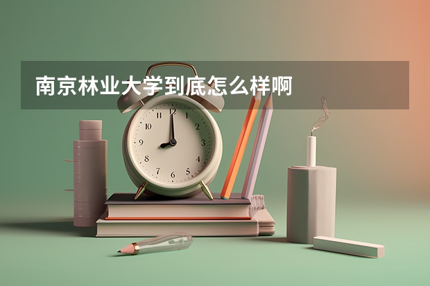 南京林业大学到底怎么样啊