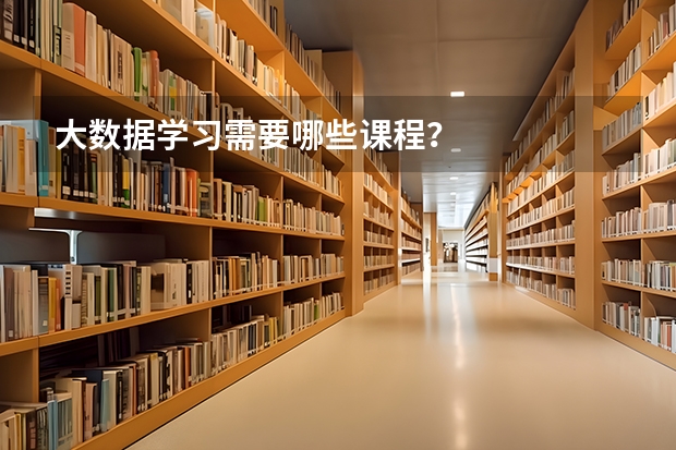 大数据学习需要哪些课程？