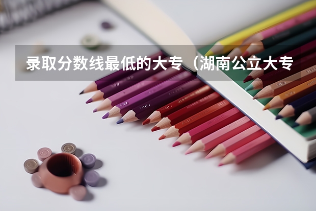 录取分数线最低的大专（湖南公立大专分数线最低的学校）