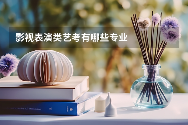 影视表演类艺考有哪些专业
