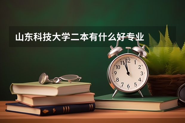 山东科技大学二本有什么好专业