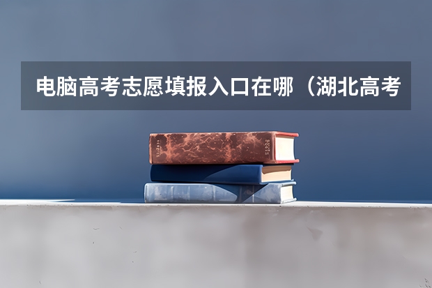 电脑高考志愿填报入口在哪(湖北高考志愿查询网官网入口:http://zsxx.e21.cn)
