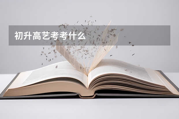 初升高艺考考什么