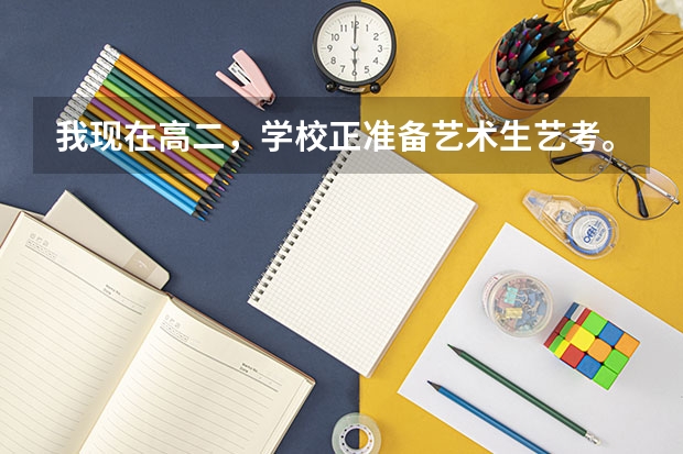 我现在高二，学校正准备艺术生艺考。我想学美术，以后去学动画设计，可以吗？有什么出路?