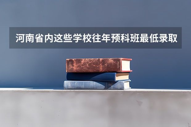 河南省内这些学校往年预科班最低录取分数线大概多少？谢谢！！！