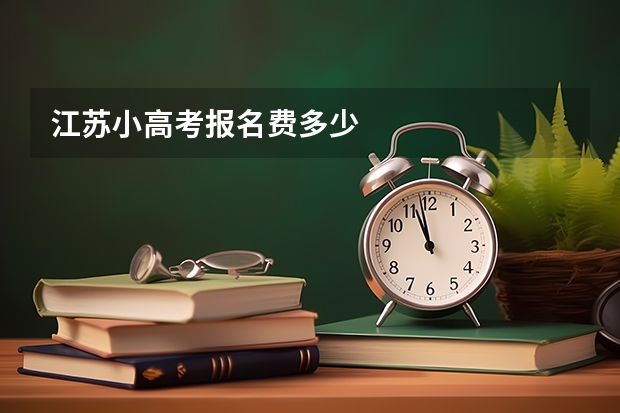 江苏小高考报名费多少