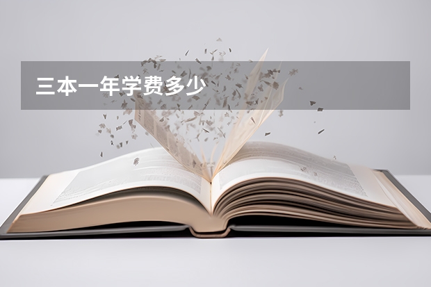 三本一年学费多少