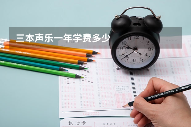 三本声乐一年学费多少