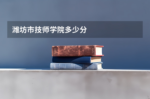 潍坊市技师学院多少分