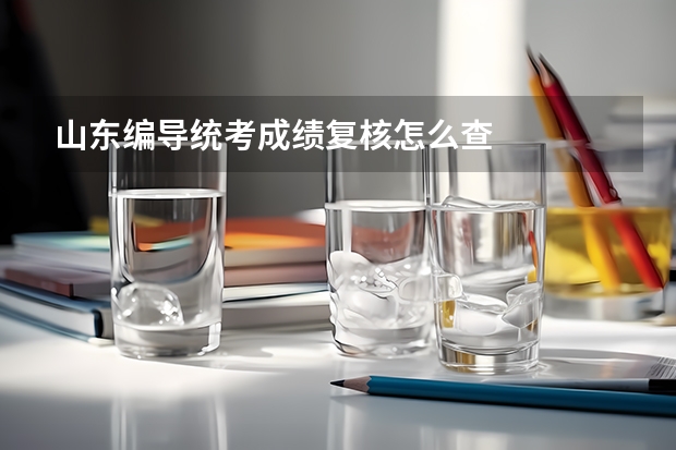 山东编导统考成绩复核怎么查
