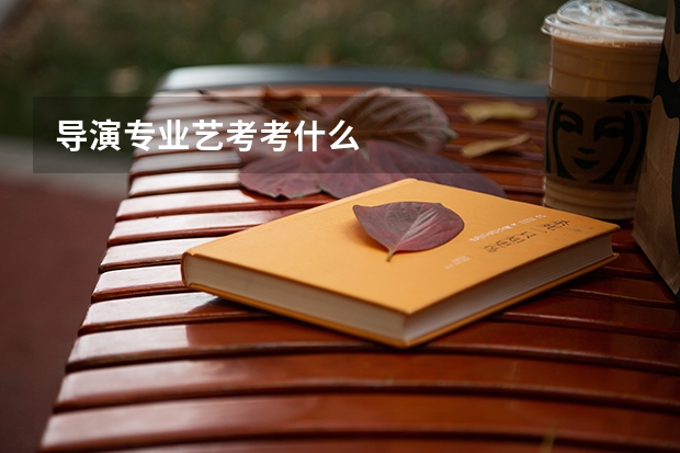 导演专业艺考考什么