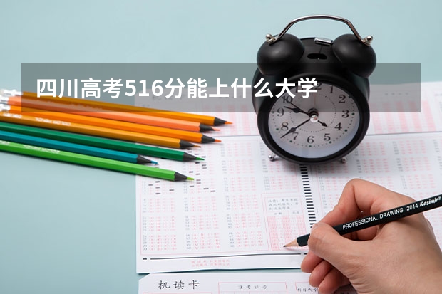 四川高考516分能上什么大学